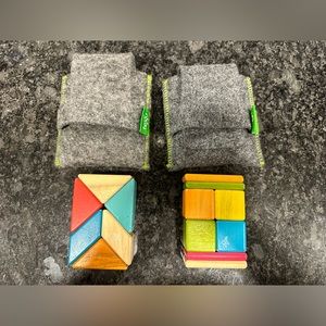 Tegu Magnetic blocks